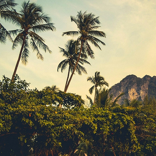 Choose the Right Thai Massage: Simple Guide