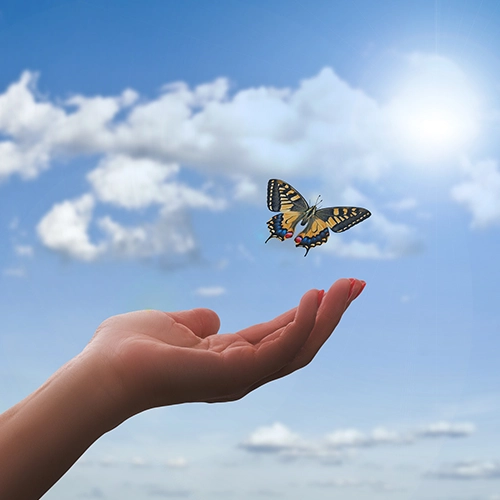 Wellness with Thai Massage: Balance Body and Mind