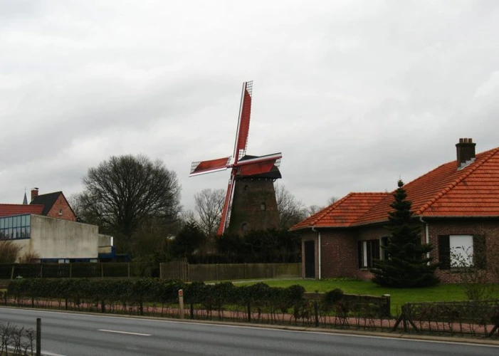 Thaise massage Brecht