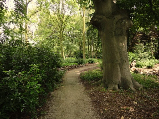 Municipality - Schoten